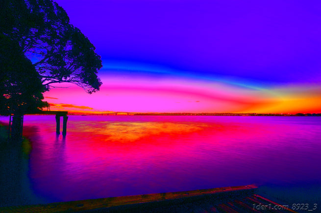 Stanley Point Sunset with Auckland Harbour Bridge, Ramp, and Jetty - Orange, Blue, Magenta